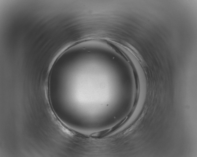 X0000073420812200607281151