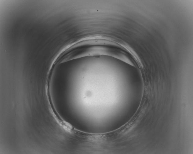 X0000073420813200607281151