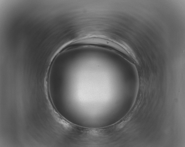 X0000073420814200607281151