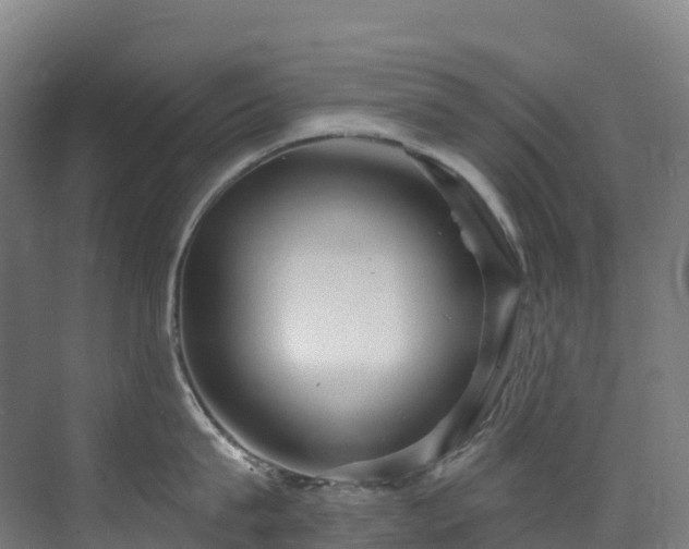 X0000073420815200607281151