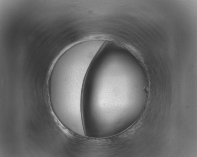 X0000073420816200607281151