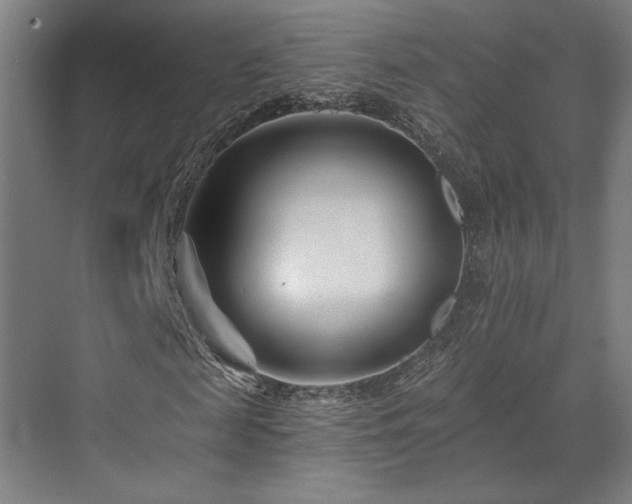 X0000073420817200607281150