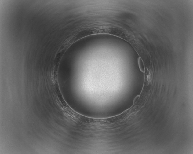 X0000073420819200607281150