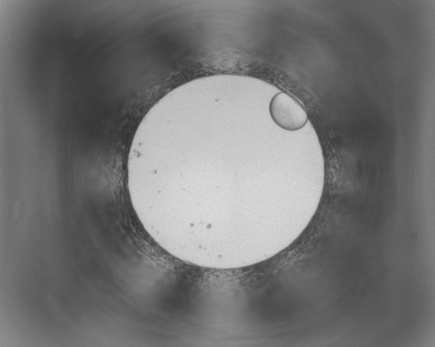 X0000073420820200607281150