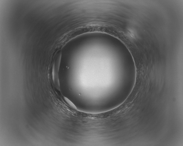 X0000073420821200607281150