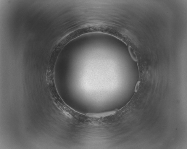 X0000073420822200607281150