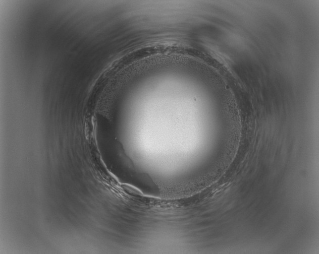 X0000073420823200607281150