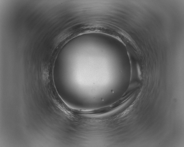 X0000073420826200607281150