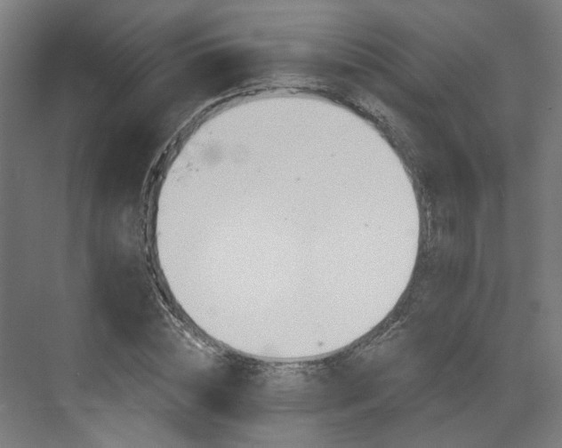 X0000073420828200607281150