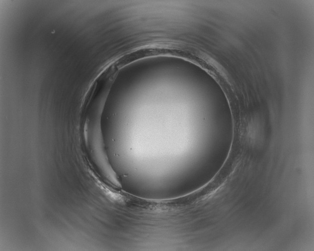 X0000073420829200607281150