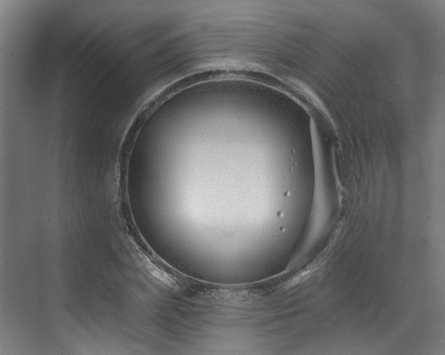 X0000073420831200607281150