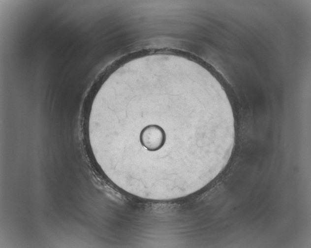 X0000073420832200607281150