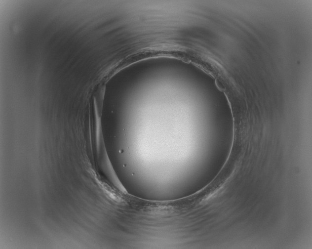 X0000073420833200607281150