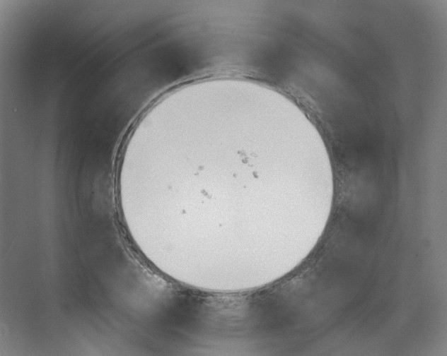 X0000073420836200607281150