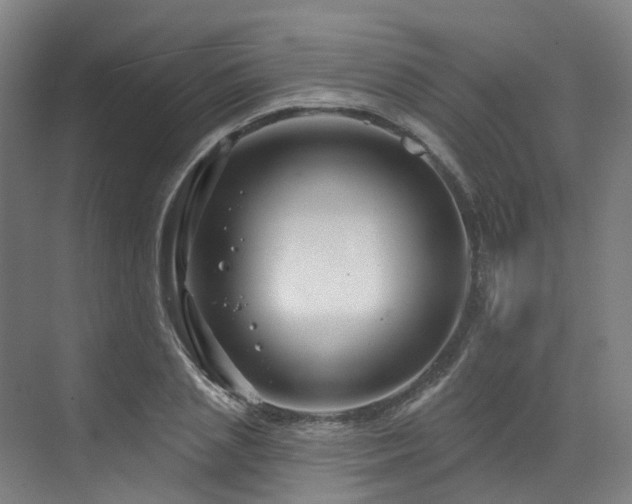 X0000073420837200607281150