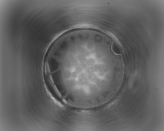 X0000073420839200607281150