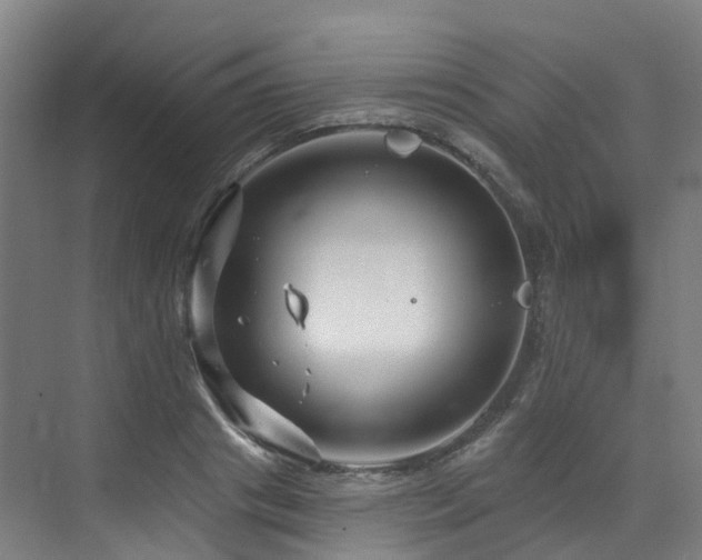 X0000073420841200607281150