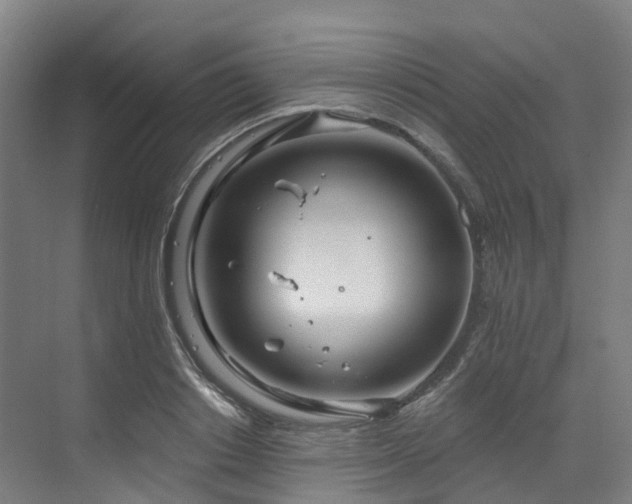 X0000073420842200607281150