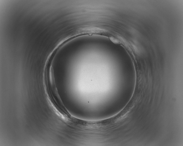 X0000073420843200607281150