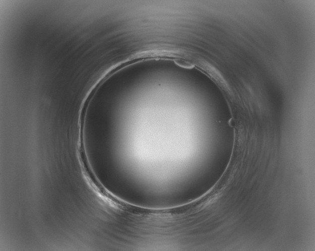 X0000073420844200607281150