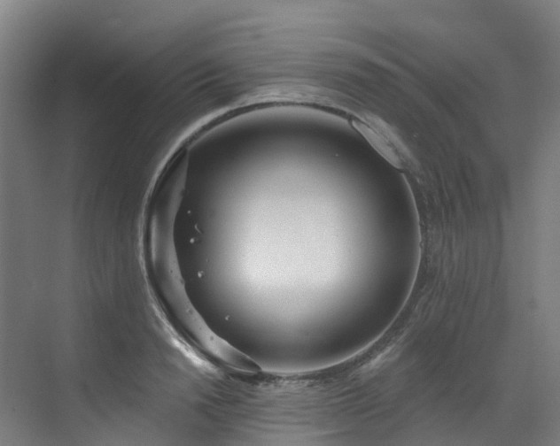 X0000073420846200607281150