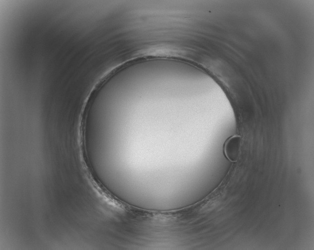 X0000073420848200607281150