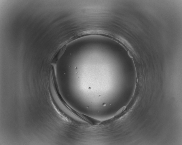 X0000073420849200607281150