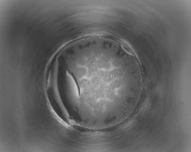 X0000073420851200607281150