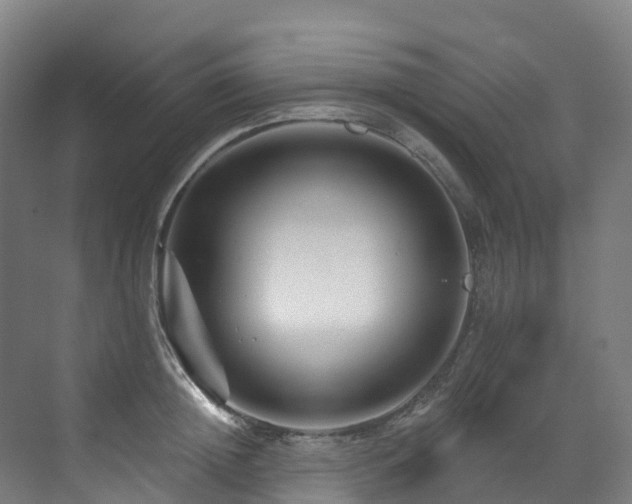 X0000073420852200607281150