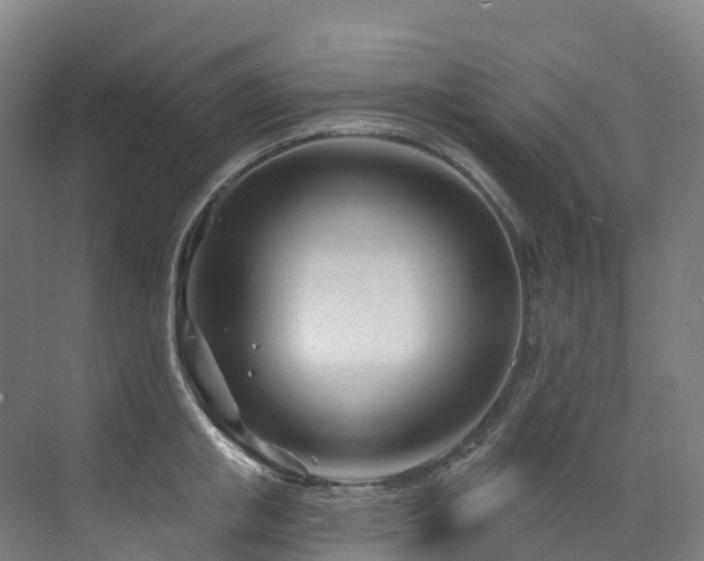 X0000073420853200607281150