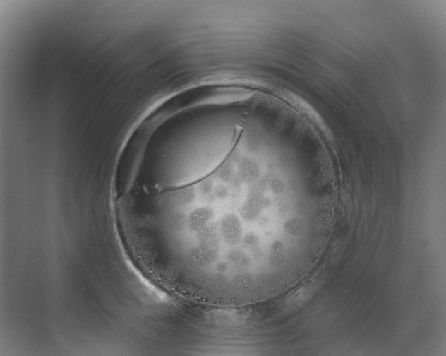 X0000073420855200607281150