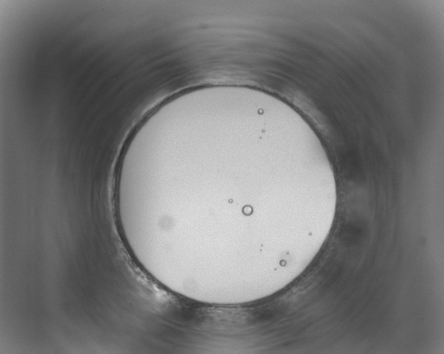 X0000073420856200607281150