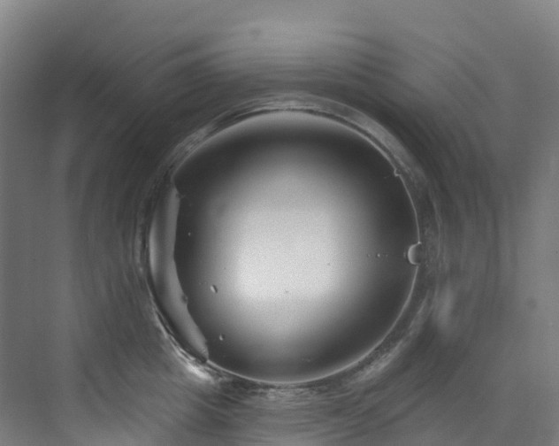 X0000073420857200607281150