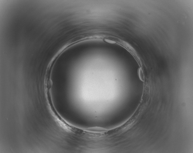 X0000073420859200607281150