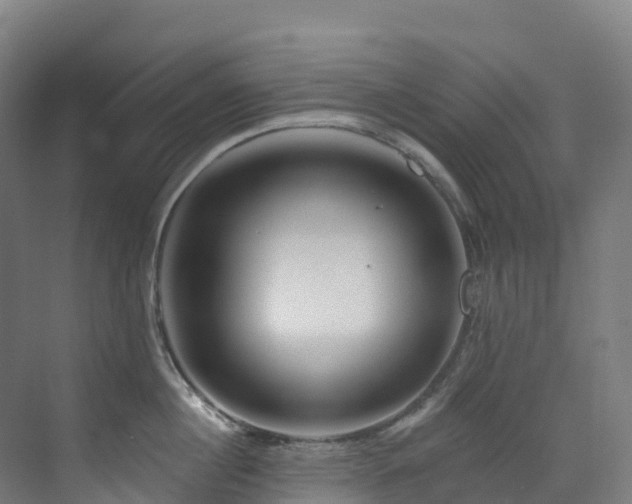 X0000073420860200607281150