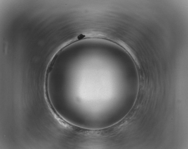 X0000073420861200607281151