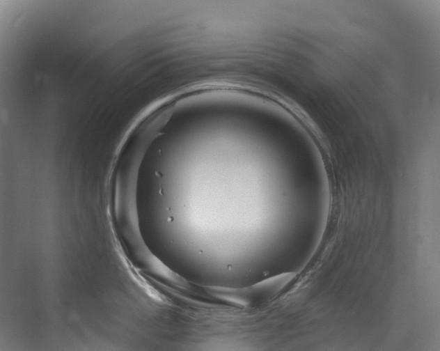 X0000073420862200607281151