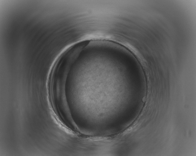 X0000073420864200607281151