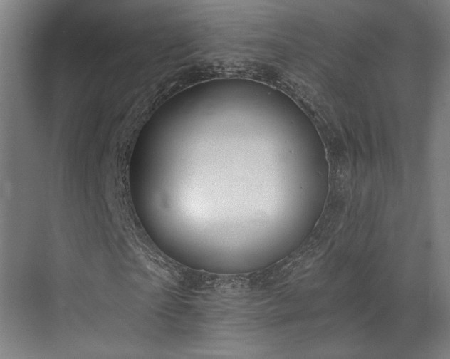 X0000073420865200607281150