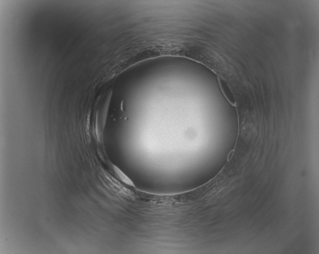 X0000073420866200607281150