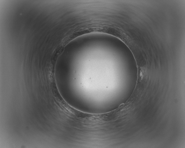 X0000073420867200607281150