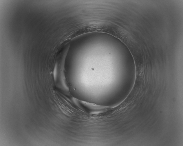 X0000073420868200607281150