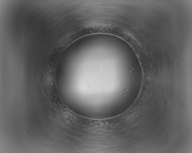 X0000073420869200607281150