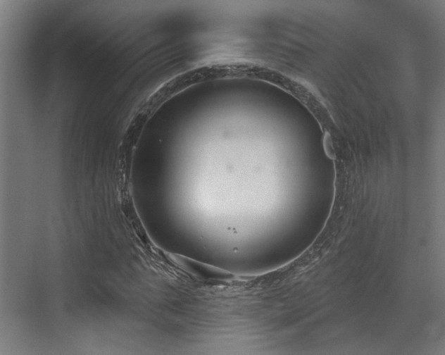 X0000073420871200607281150