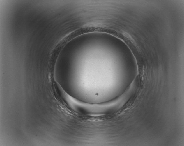 X0000073420872200607281150