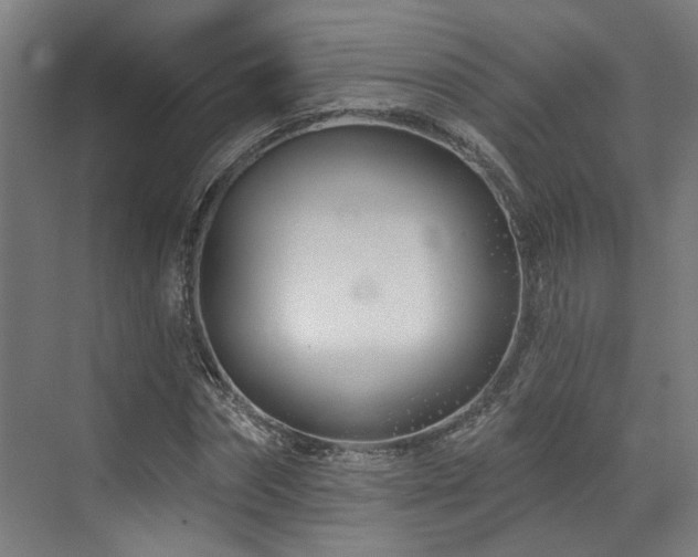 X0000073420874200607281150