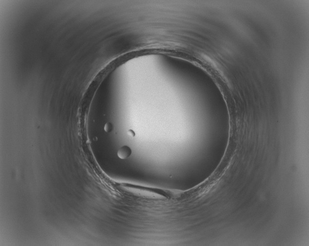 X0000073420875200607281150