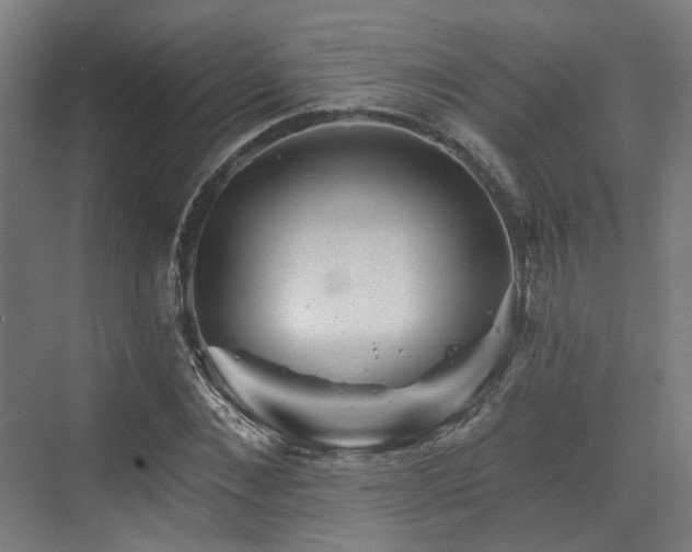 X0000073420876200607281150