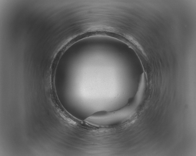 X0000073420877200607281150