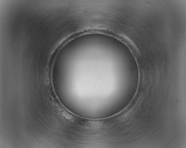 X0000073420878200607281150